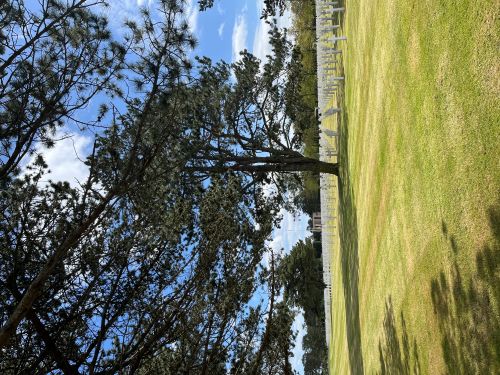 Plage du débarquement 2026.2