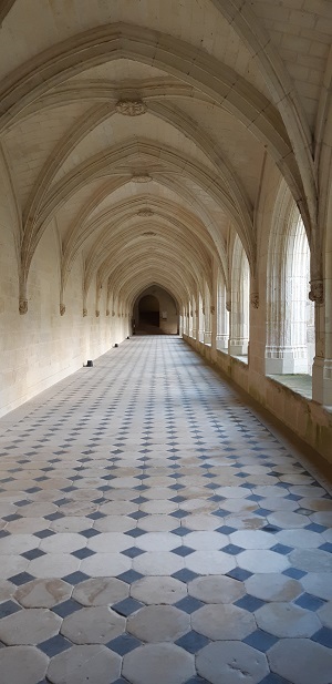 chateau de la Loire 1