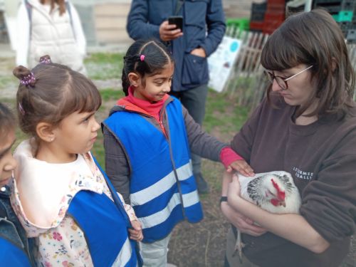 visite à la ferme CP.11.bis
