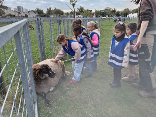 visite à la ferme CP.7