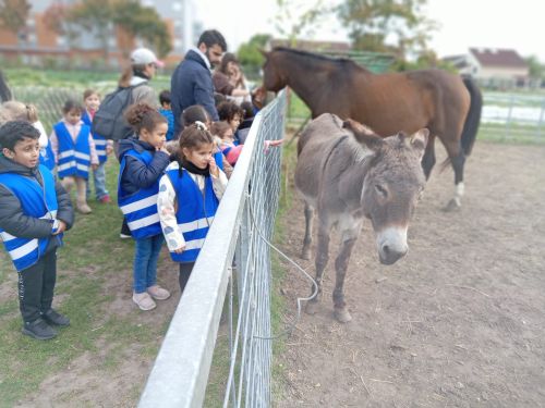 visite à la ferme CP.9