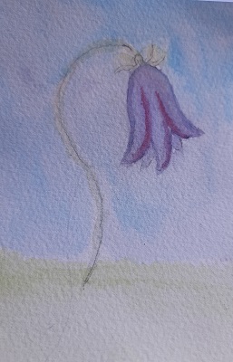 aquarelle 11 bis