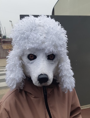 carnaval 2025 3
