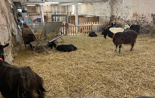 ferme dEcancourt CE2 2025.9