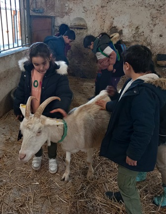 ferme dEcancourt CP 2025.4