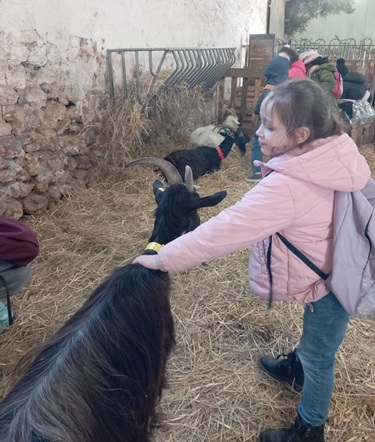 ferme dEcancourt CP 2025.5
