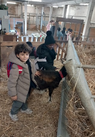 ferme dEcancourt CP 2025.7