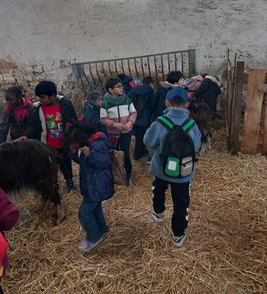 ferme dEcancourt CP 2025.8