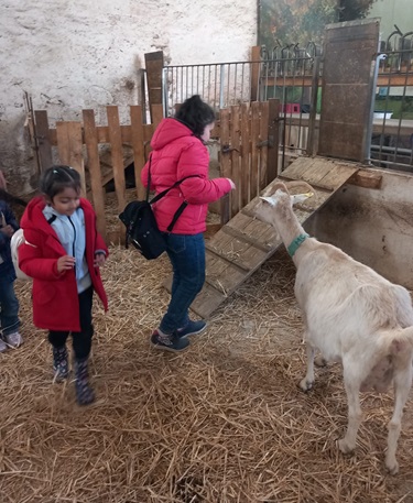 ferme dEcancourt CP 2025.9
