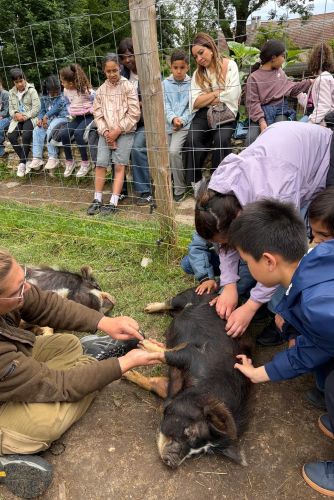 ferme juin 2026 CE2.1