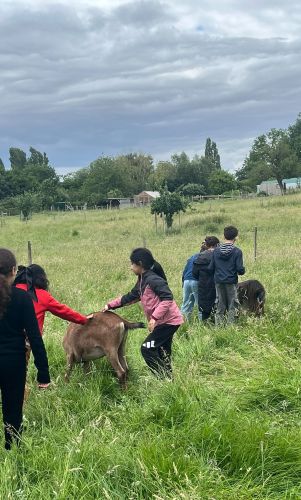 ferme juin 2026 CE2.15