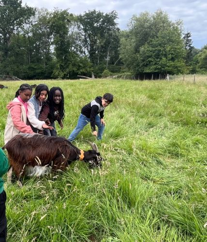ferme juin 2026 CE2.18