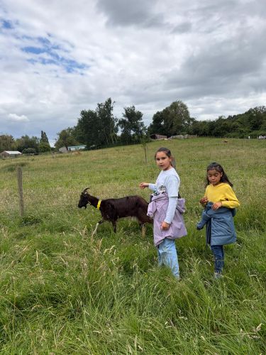 ferme juin 2026 CE2.8