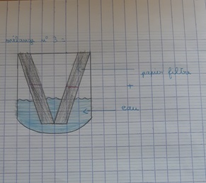 savant fou texte photo.1.bis