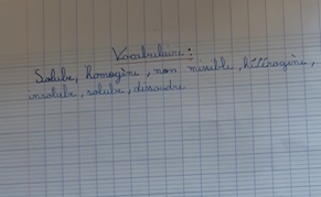 savant fou texte photo.bis