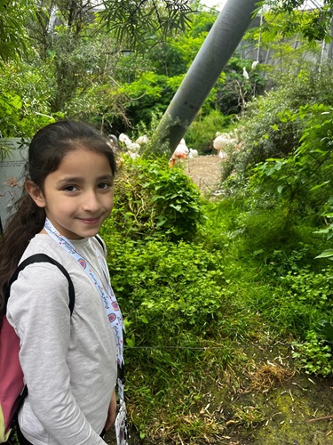 zoo CE2.1