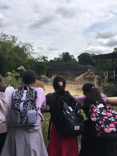 zoo CM2.3