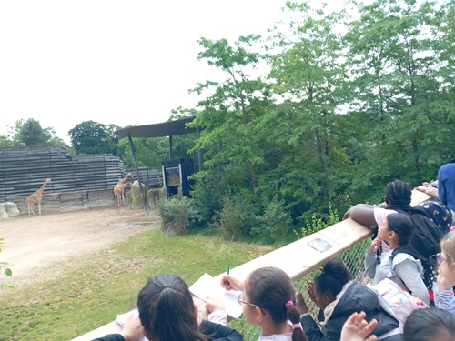 zoo CPV 1