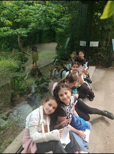 zoo Cm1r10