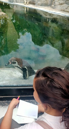 zoo Cm1r9