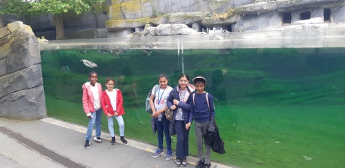 zoo Cm1r 1