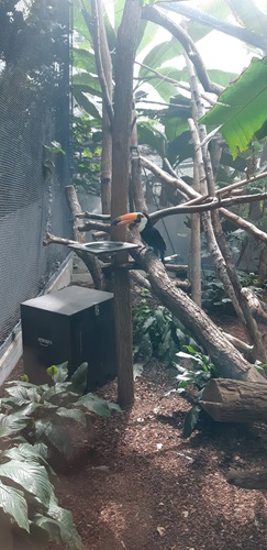 zoo Cm1r 2