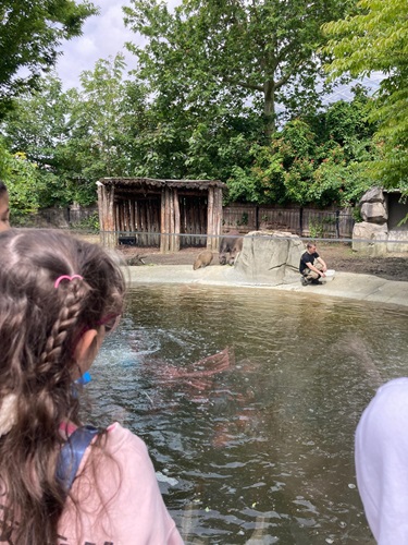 zoo Cm1r 4