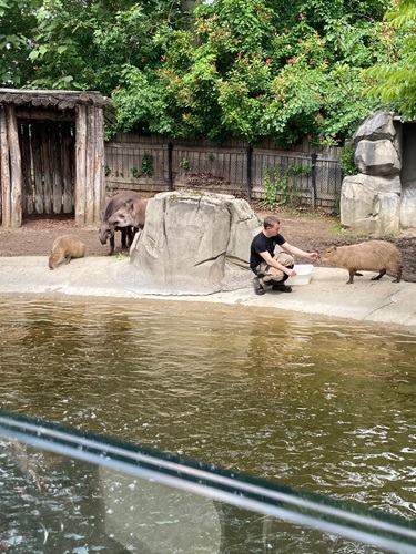 zoo Cm1r 5